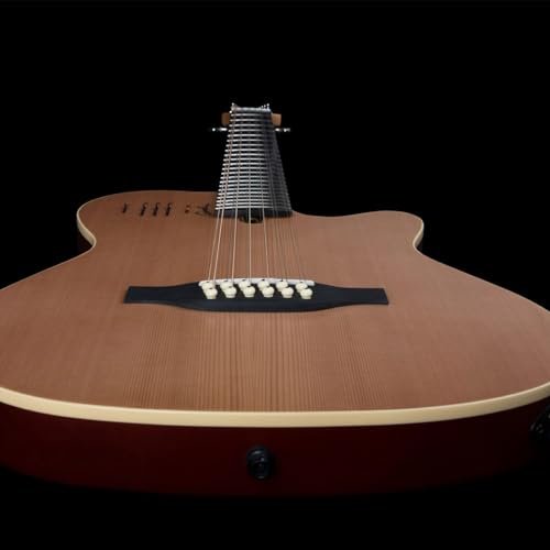 Godin A12 Two-Chambered Electro-Acoustic Guitar (Natural)