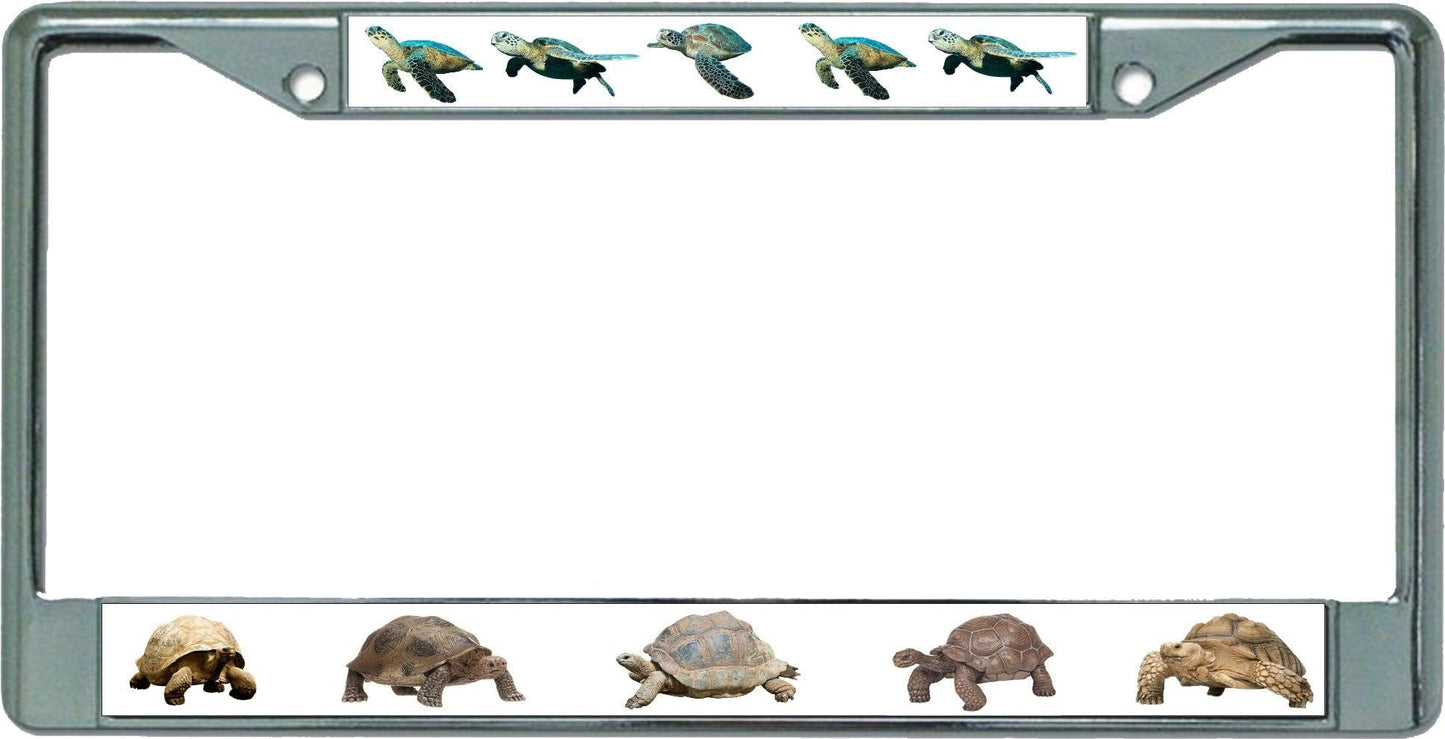Tortoises and Sea Turtles Chrome License Plate Frame