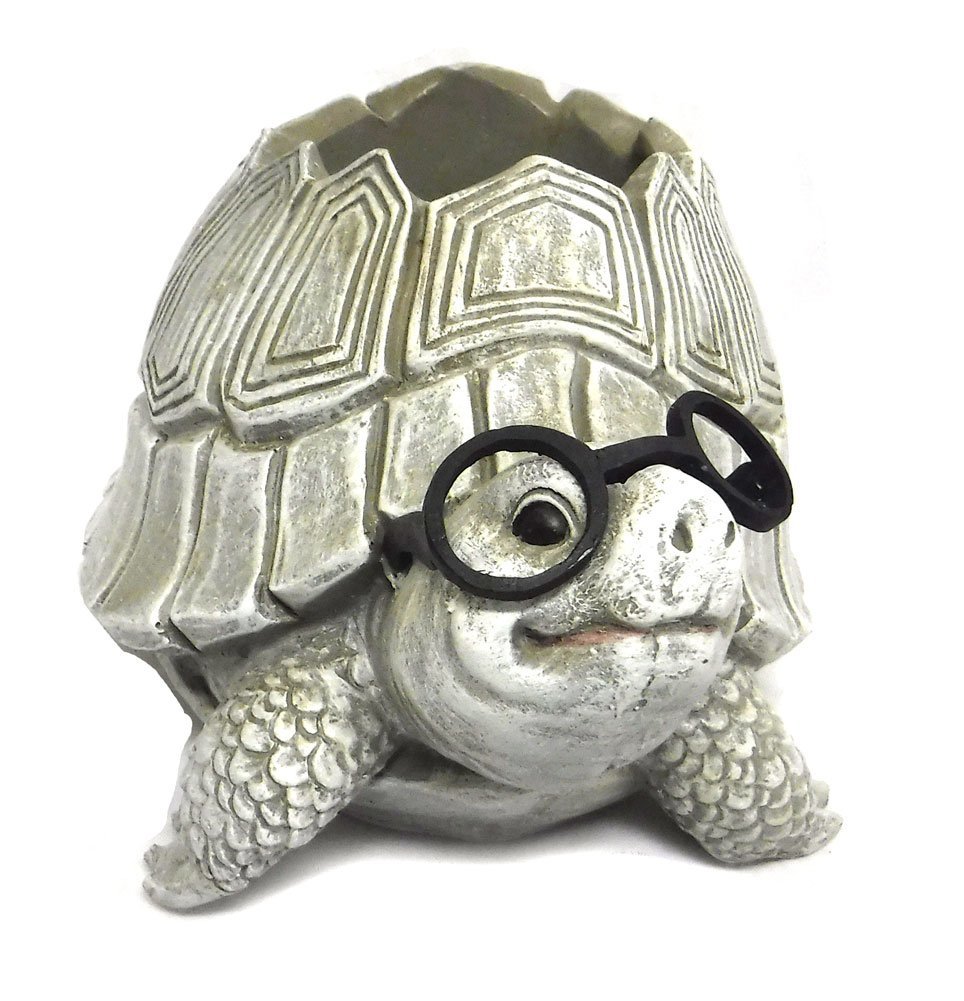 Roman Giftware Inc., Garden Collection, Pudgy Pals, 5.7" H Turtle W/Glasses Planter,Religious, Inspirational, Durable (9x6x5)