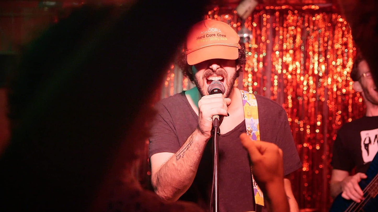 SE ELECTRONICS - Mic Capsules