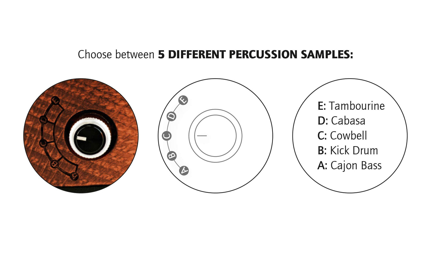 Ortega Guitars Digital Singer-Songwriter Percussion Stomp Box with 5 Samples (HORSE KICK PRO)