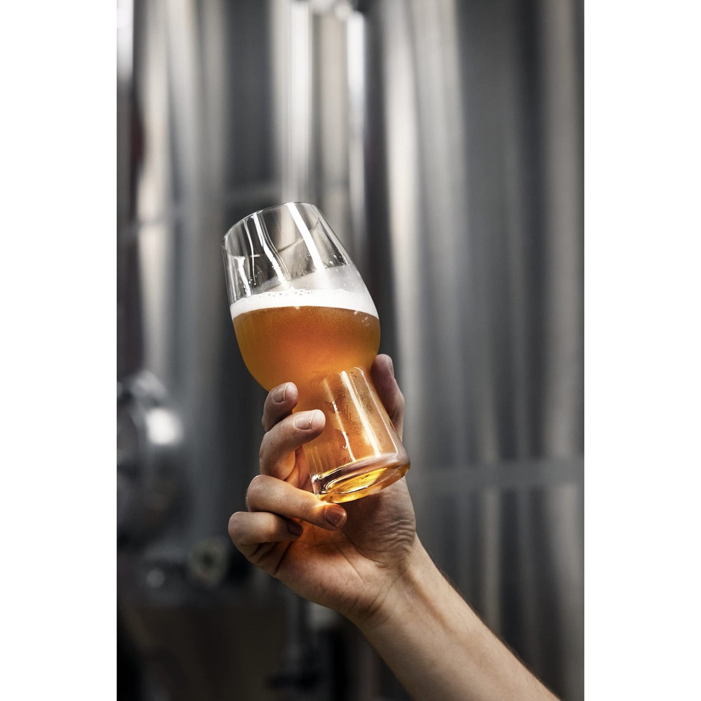 Waterford Craft Brew IPA Glass, Set of 2, 16 oz, Clear