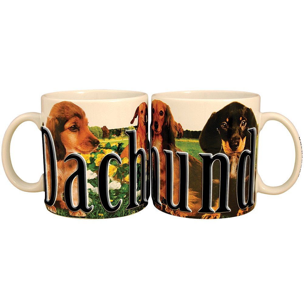 Americaware, My Pet Mug, Best Friend Series, Dachshund, Raised Lettering, 18 oz.