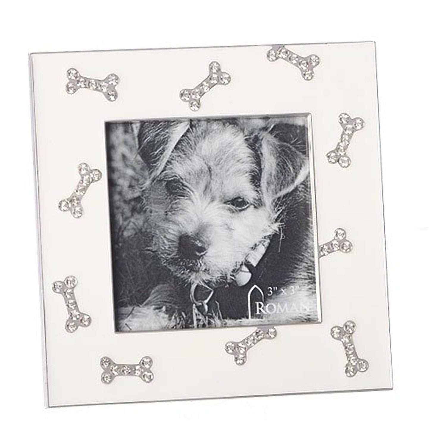 Roman Giftware Inc., Caroline Collection, Pets, 4.5" H Dog Bone Frame- Hold 3X3,Religious, Inspirational, Durable (4x1x4)