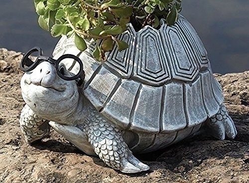 Roman Giftware Inc., Garden Collection, Pudgy Pals, 5.7" H Turtle W/Glasses Planter,Religious, Inspirational, Durable (9x6x5)