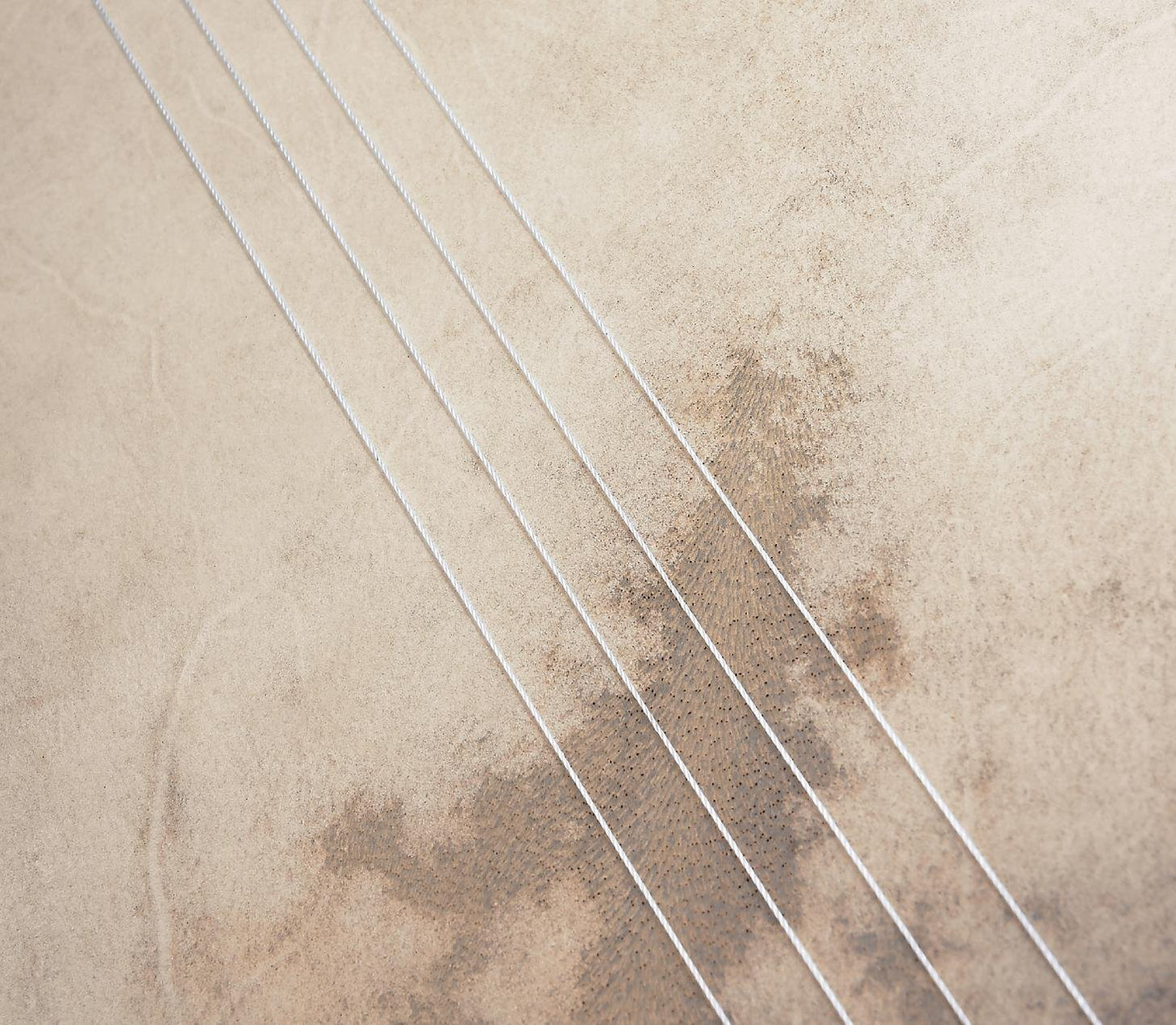 MEINL Percussion マイネル フレームドラム Goat Skin Bendir 【国内正規品】