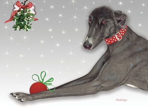 Pipsqueak Productions C556 Greyhound Holiday Boxed Cards