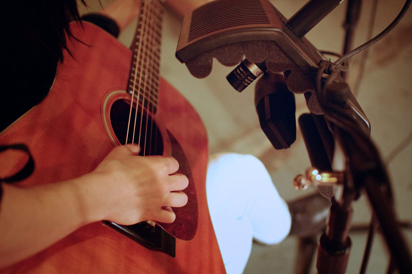 SE ELECTRONICS - Portable Isolation Filter for Dual Micing of Guitar Amplifiers (GUITARF)