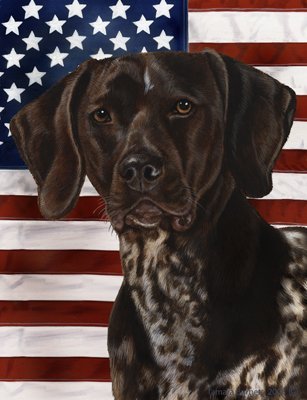 Best of Breed German Shorthair Pointer Patriotic II Large Flags