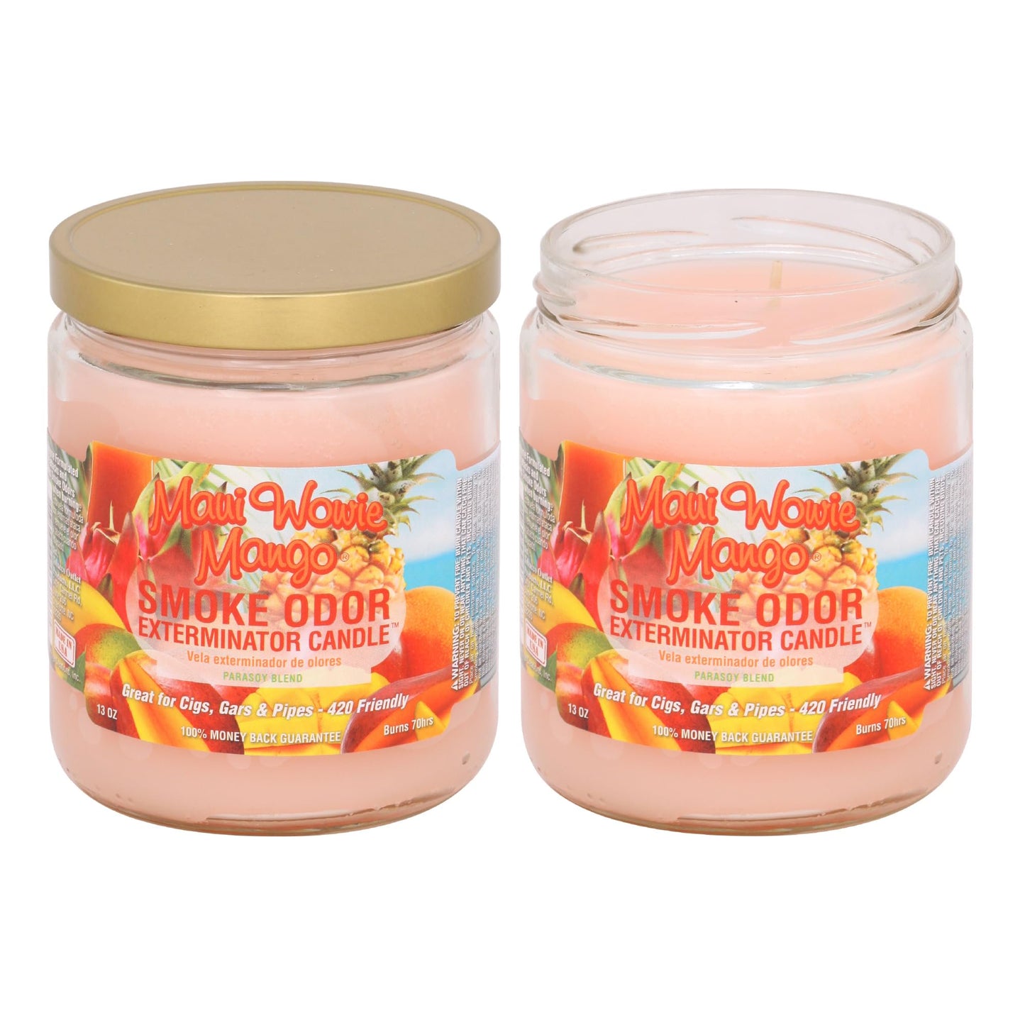 Smoke Odor Exterminator Candle 13oz jar, Groov'n Grape