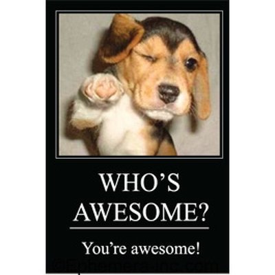 WHO'S AWESOME? You're awesome! - RECTANGLE MAGNET by "Ephemera, Inc"