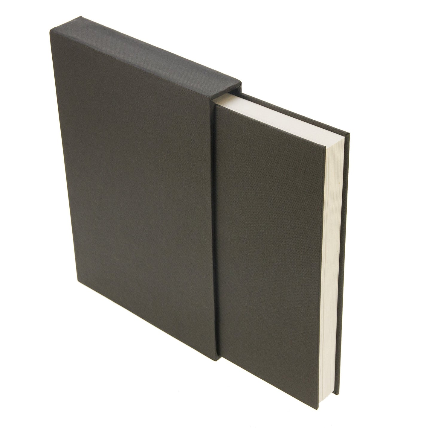 Seawhite A5 Concertina Sketchbook with Case