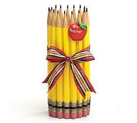 Burton and Burton Unique Pencil Shape Teachers Vase with Apple - Set of 2