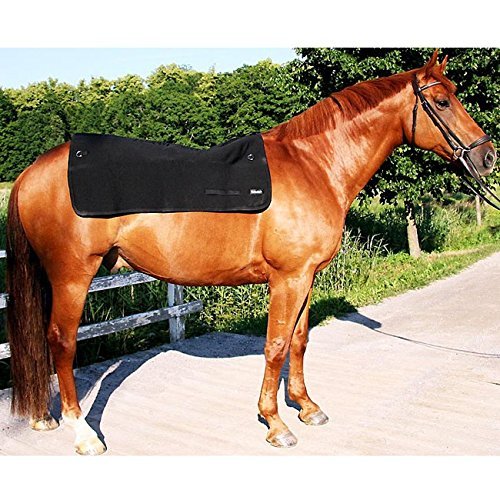 Therapeutic Horse Back Warmer Pad