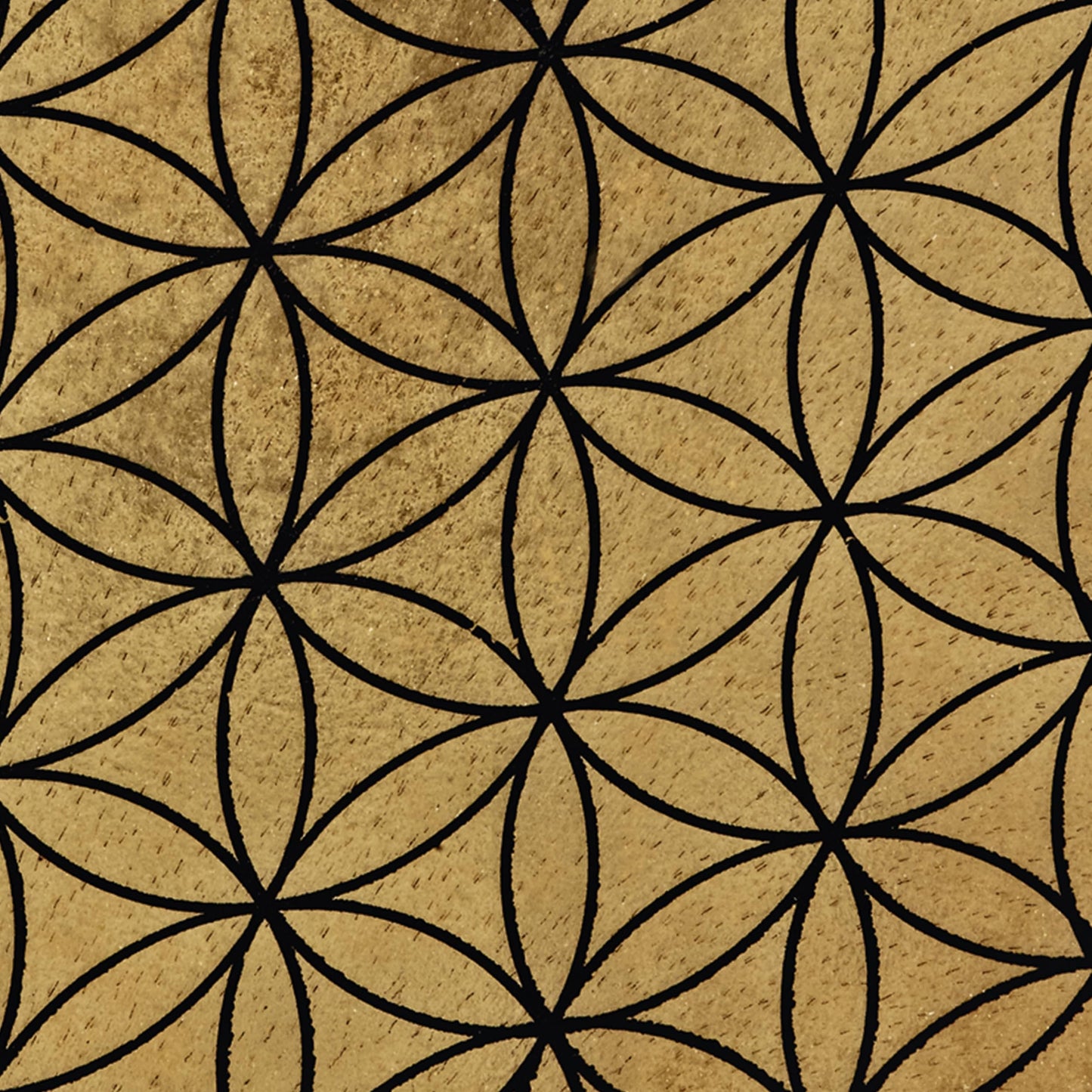 Meinl Sonic Energy Native American Style Hoop Drum