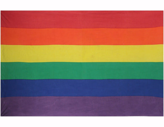 Sunshine Joy Gay Pride Tapestry - Beach Sheet - Bedspread - Window Hanging (60X90 inches)