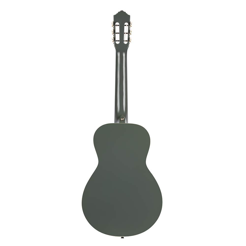 Ortega Guitars 6 Gaucho Series Nylon String Parlor Guitar w/Bag, Right, Platinum Grat (RGA-PLT)