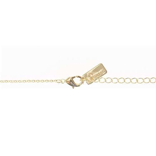 Roman Double Holy Scapular Gold Zinc Necklace 18 Inches Ling