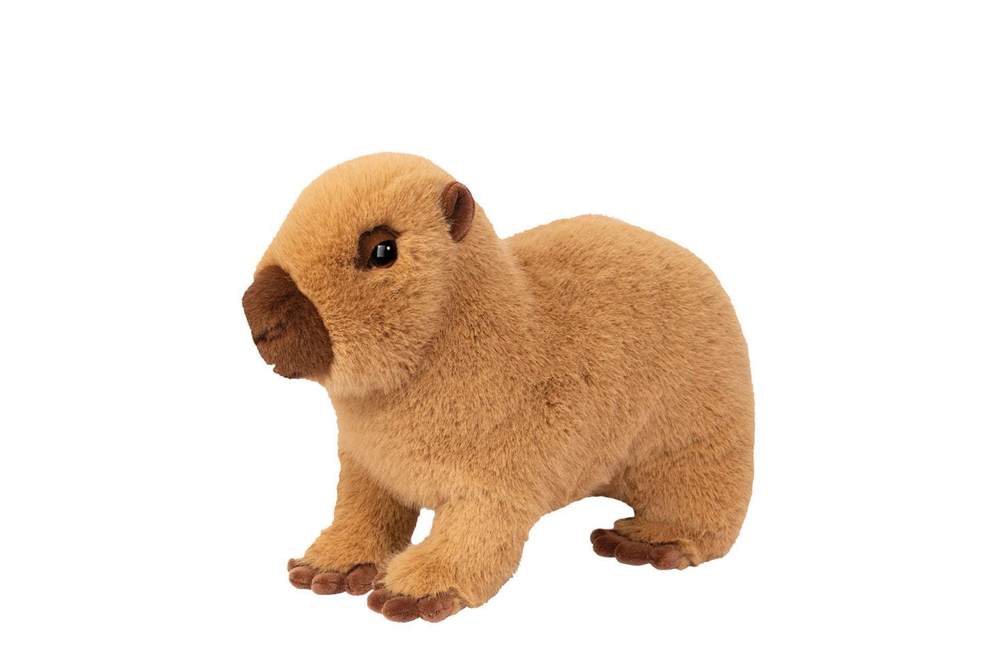 Douglas Soft Chattie Capybara