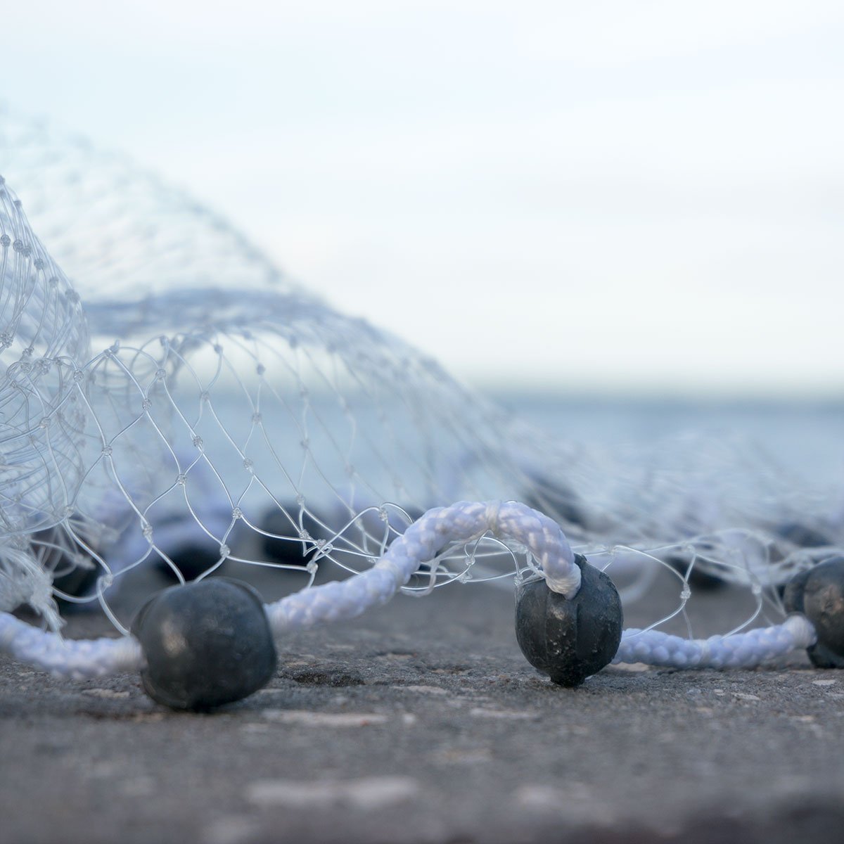 Bait Buster Menhaden Cast Net with 5/8 Mesh 10 FT