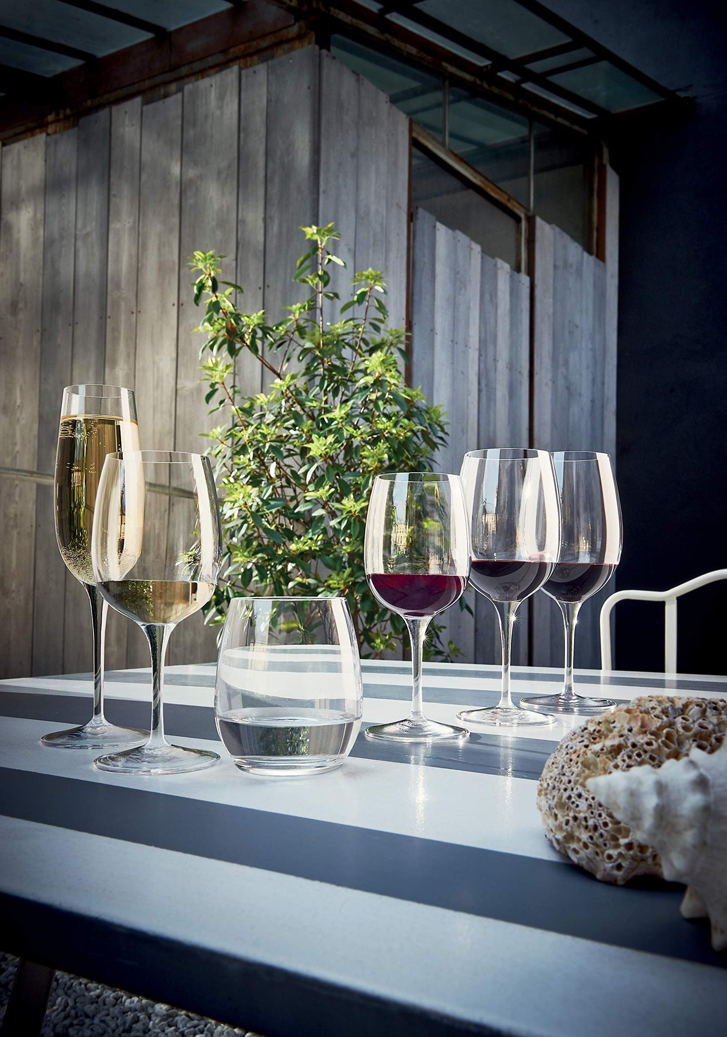 Luigi Bormioli Palace 8 oz Flute for Sparkling Wine/Champagne/Prosecco/Cava/Lambrusco Glasses (Set Of 6) : Ultra Clear Glass, Laser Cut Rim, Lead-Free, Elegant Drinking Glassware