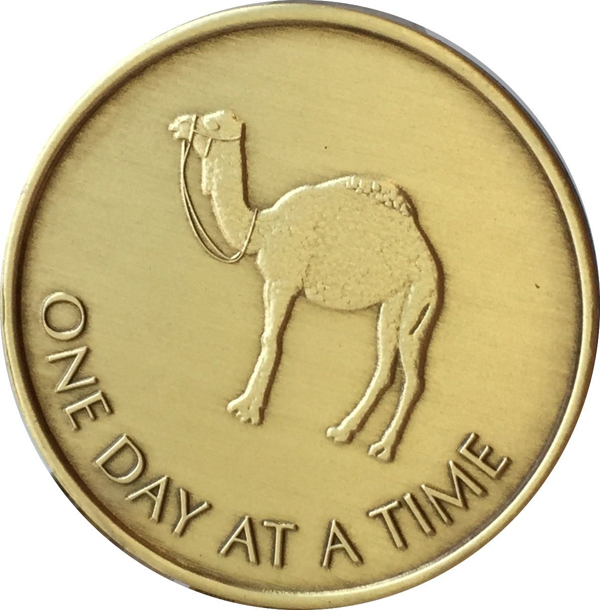 Camel One Day at A Time (24 Hr) - Bronze AA (Alcoholics Anonymous) -ACA-AL-ANON - Sober / Sobriety / Affirmation / Desire / Medallion / Coin / Chip by Generic