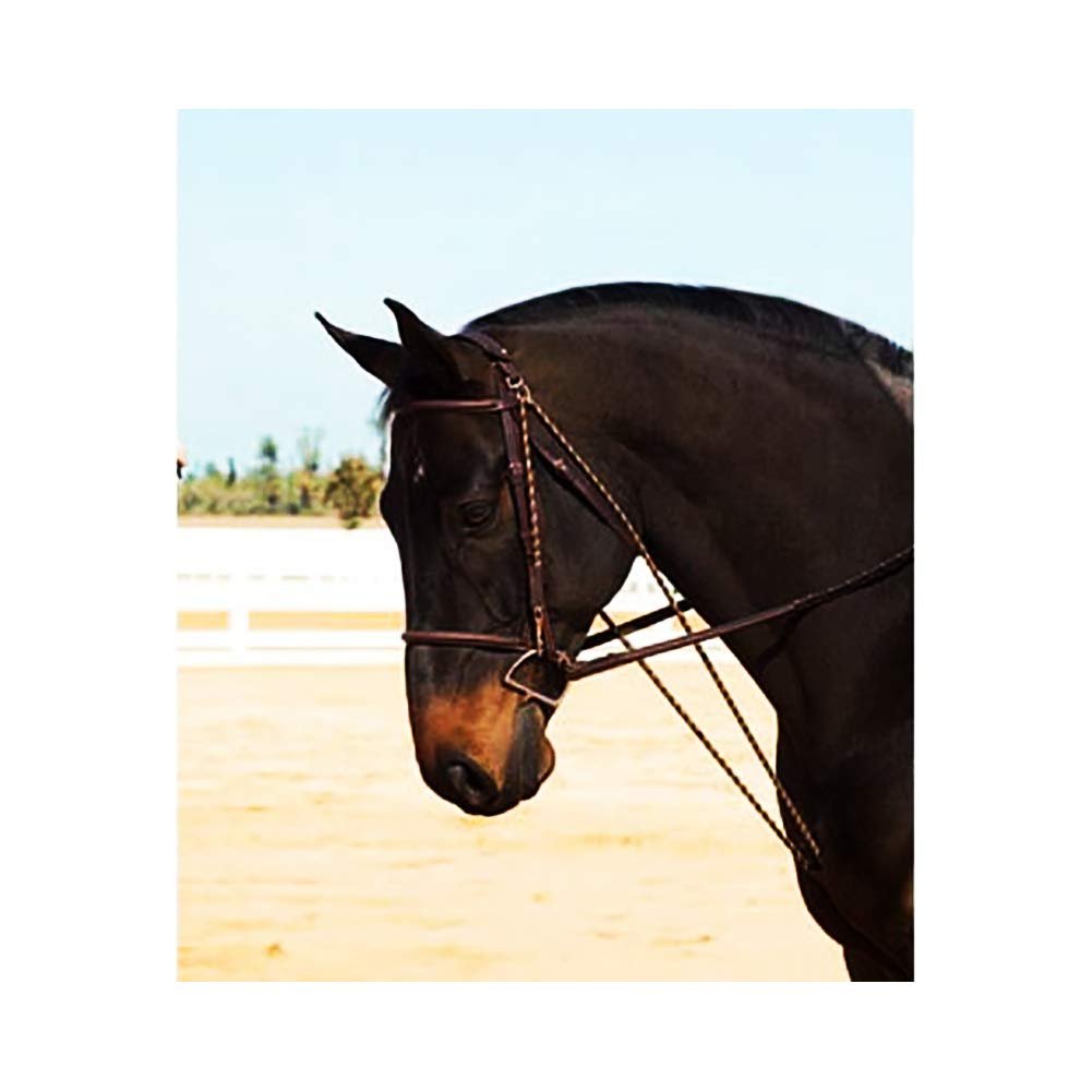 Camelot Full Size Chambon Horse Riding Lunge Training Device