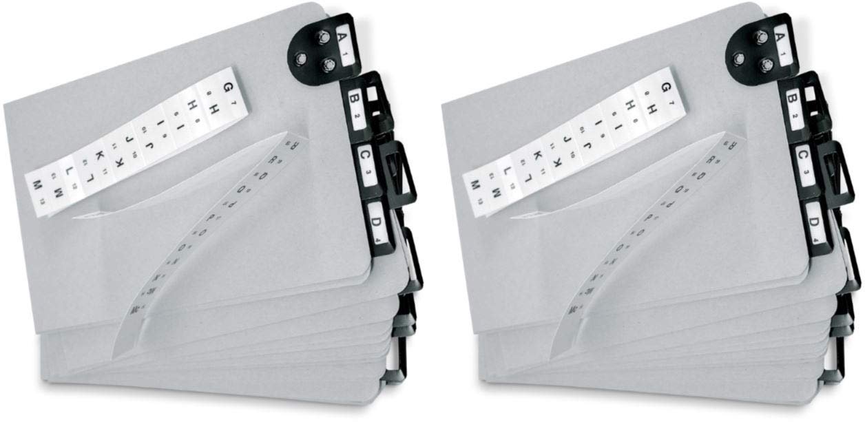 Martin Yale 14254 Posting Tray Index Sets (Pack of 2); Designed for use with V-Matic, Porta-Matic and Card-Matic Posting Tray Sets, Dimensions 6" x 9"