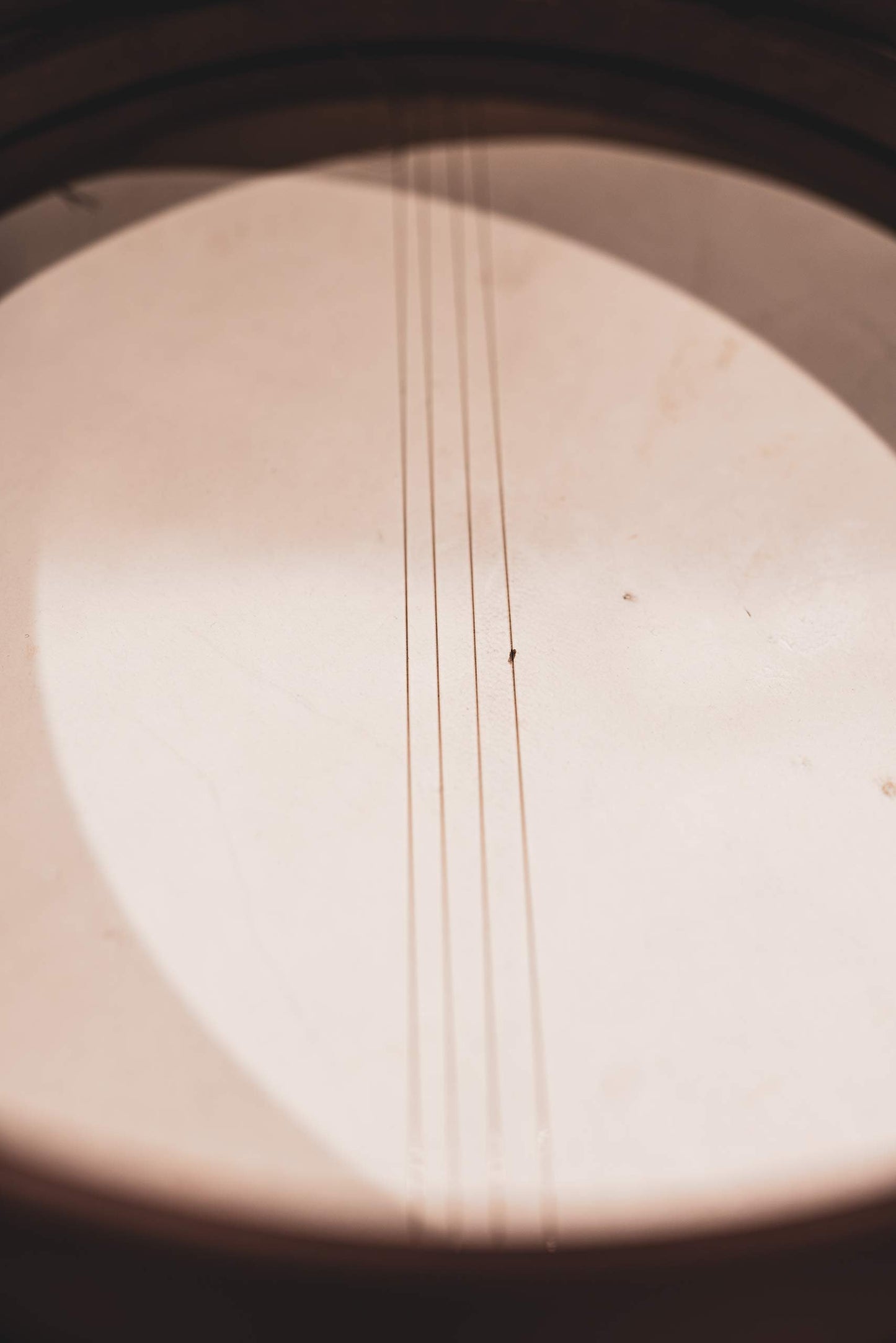 MEINL Percussion マイネル フレームドラム Goat Skin Bendir 【国内正規品】