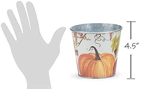 Burton & Burton Painted Pumpkins Galvanized Metal Planter/Pot Cover, Grey, Orange, White, 4.5 inH x 4.75 inW
