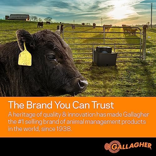 Gallagher S80 Solar Electric Fence Charger | Powers Up to 25 Miles of Electric Fencing | Lithium Battery Technology | 0.8 Joule Solar Energizer for Poultry, Livestock, Gardens, and Wildlife Exclusion