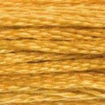Dmc 6-Strand Embroidery Cotton 8.7yd-Medium Topaz