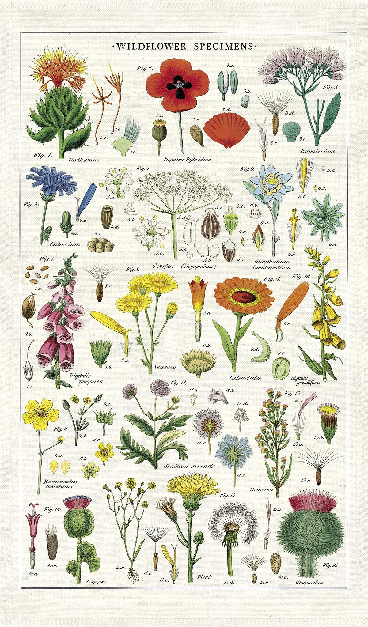 Cavallini Papers & Co. Wildflowers Tea Towel, Multicolor