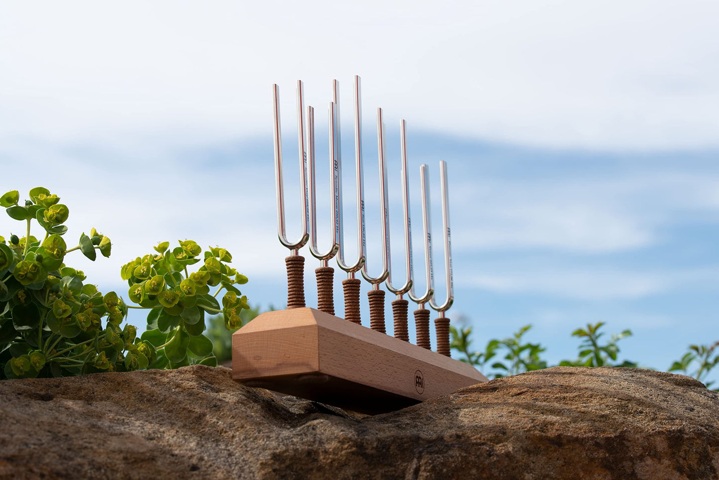 Planetary Tuned Tuning Fork Set
