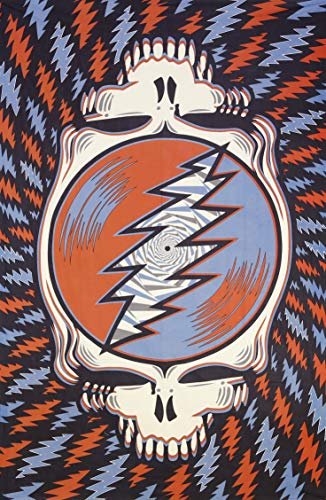 Sunshine Joy Grateful Dead 3D Spin Your Face Stealie Tapestry Huge Hippie Wall Art (60x90 Inches)