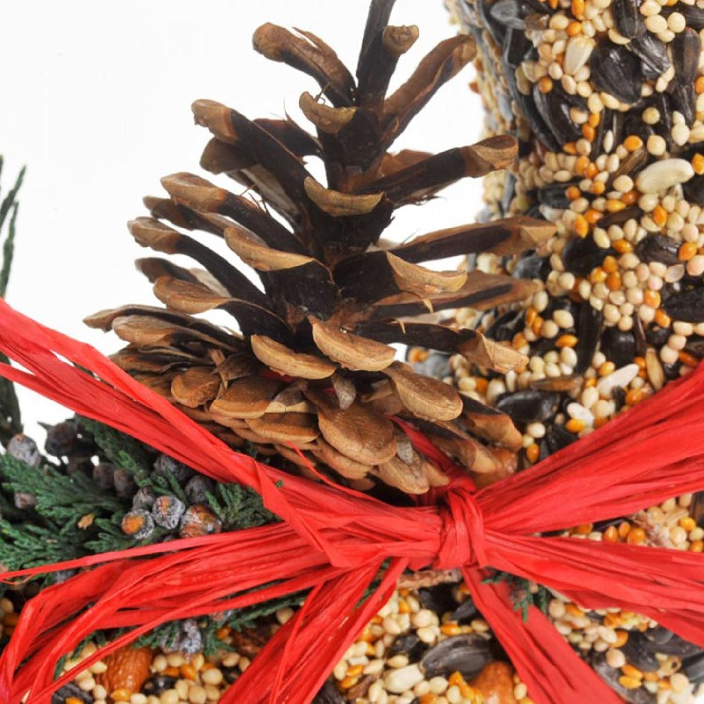 Mr. Bird Wildfeast Bird Seed Christmas Wreath: 9" Solid Seed, Nut and Fruit with Raffia Bow