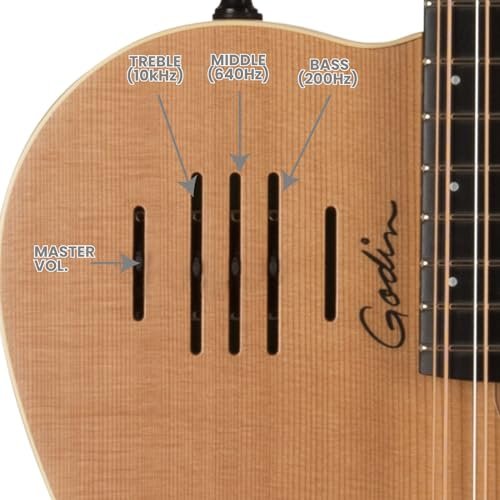 Godin A12 Two-Chambered Electro-Acoustic Guitar (Natural)