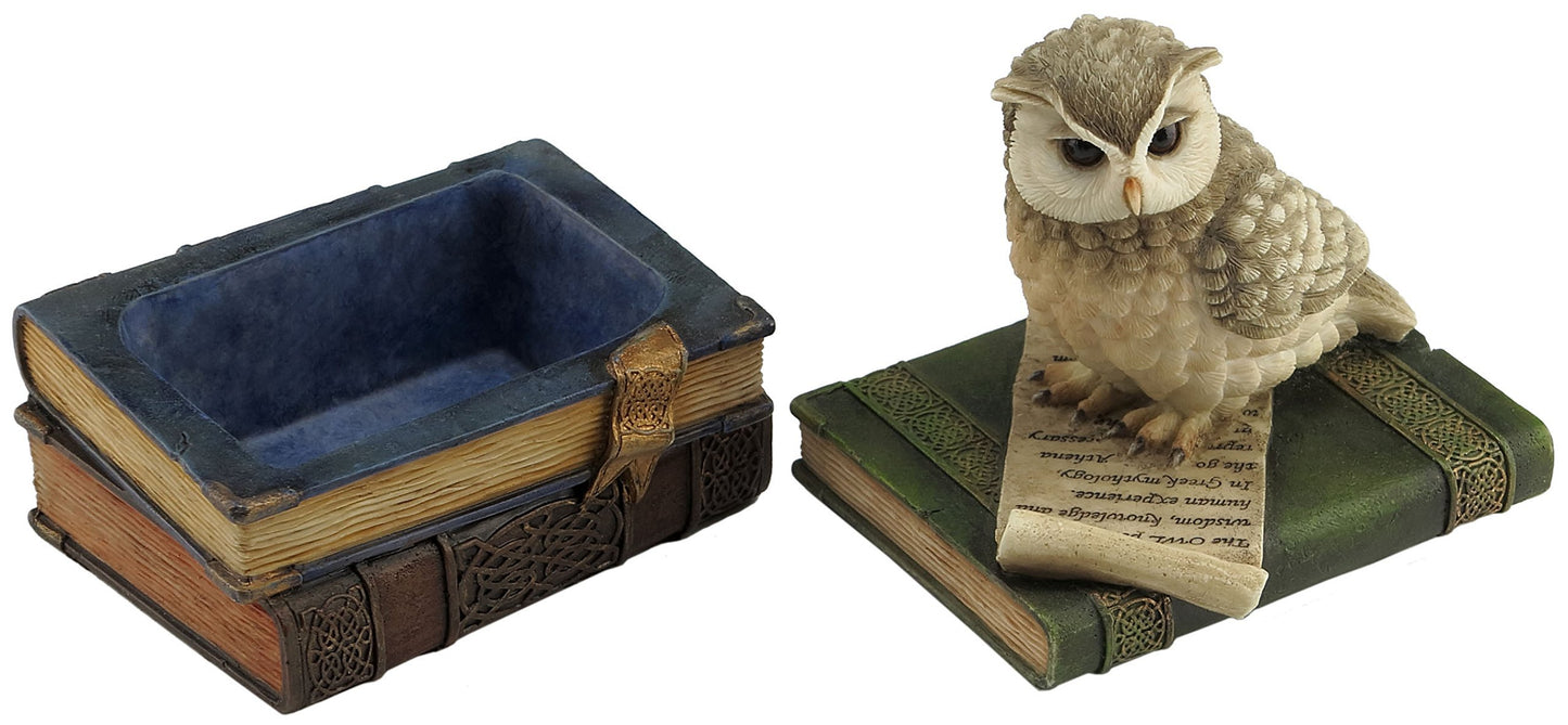 US 4.5 Inch Collared Scops Owl on Books Decorative Trinket Box, Brown