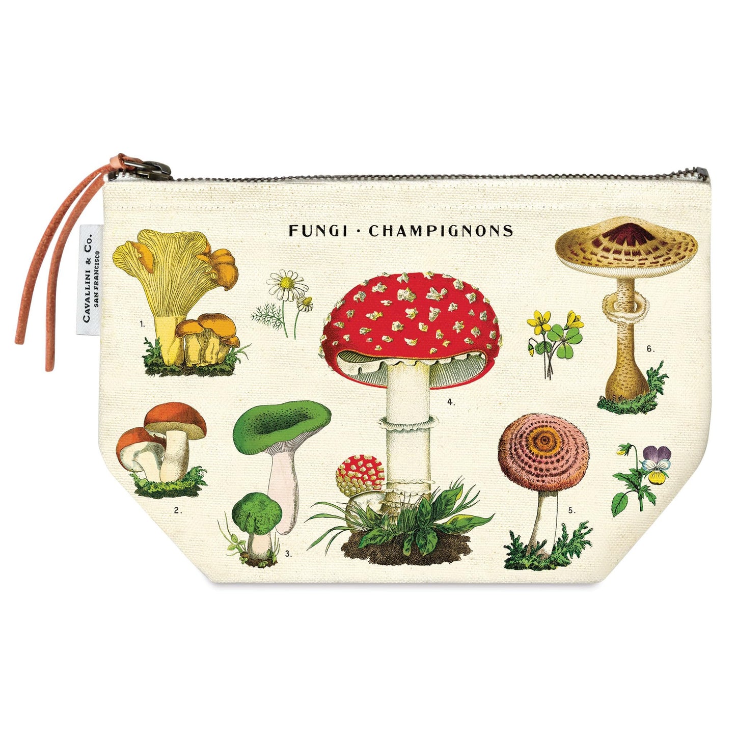 Cavallini Mushrooms Vintage Pouch
