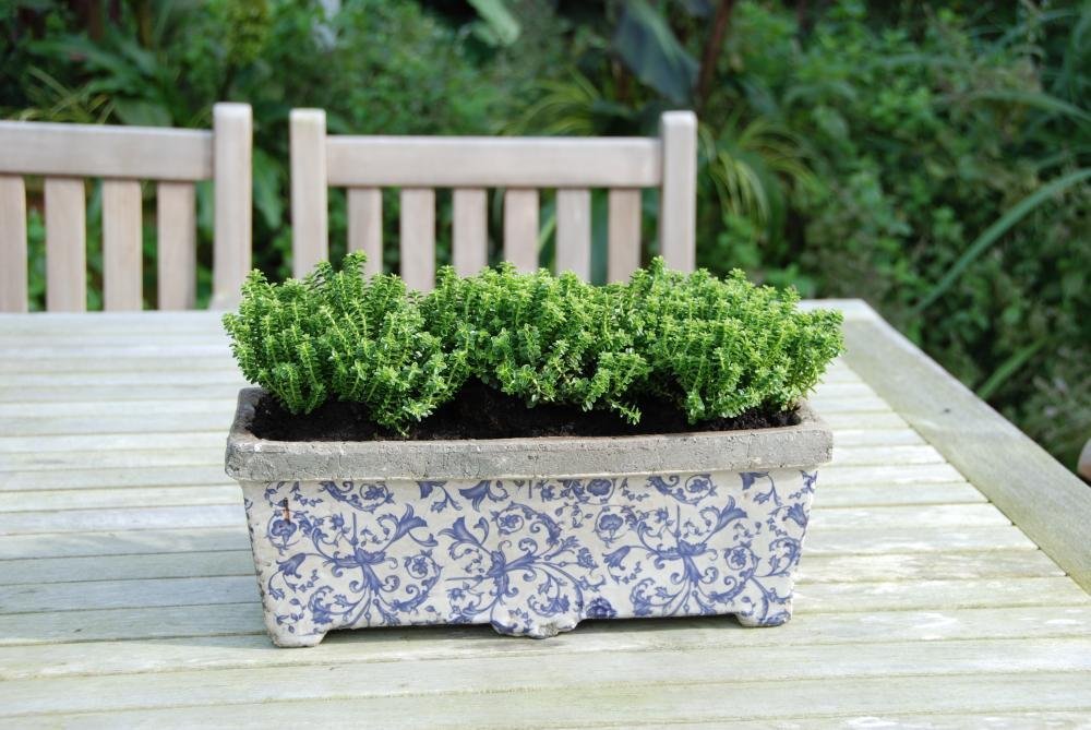 Esschert Design USA Ceramic Balcony Planter-Blue/White