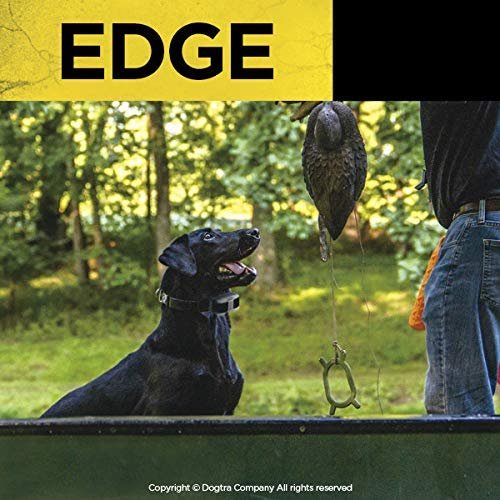Dogtra Edge Long Range High-Output 1-Mile Waterproof 4-Dog Expandable Remote Dog Training E-Collar with LED Receiver for Professionals