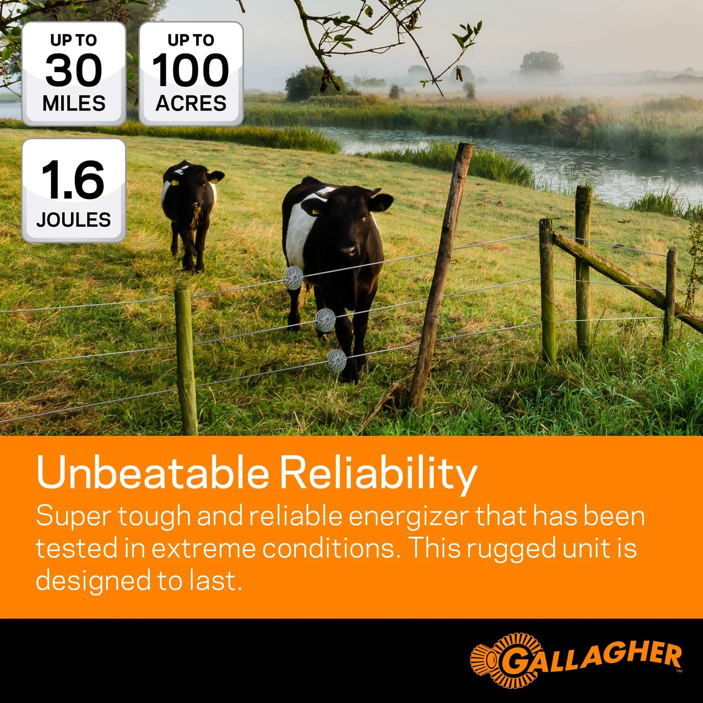 Gallagher M160 Electric Fence Charger | Powers Up to 30 Miles / 100 Acres of Clean Fence | 1.6 Joules, 110 Volt Energizer | Unbeatable Reliability | Tough Outer Casing Mounting