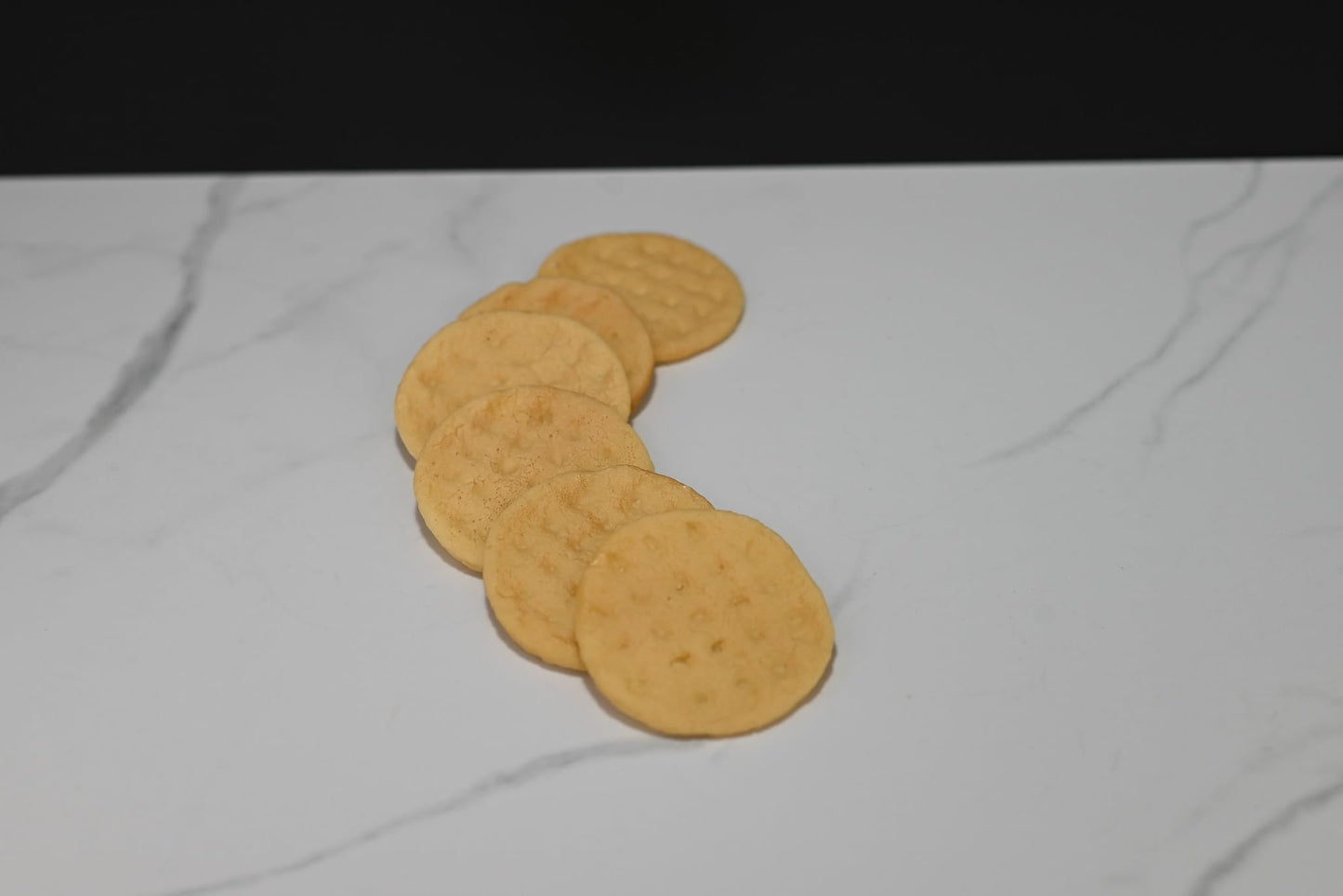 Fake Water Crackers (set of 6)