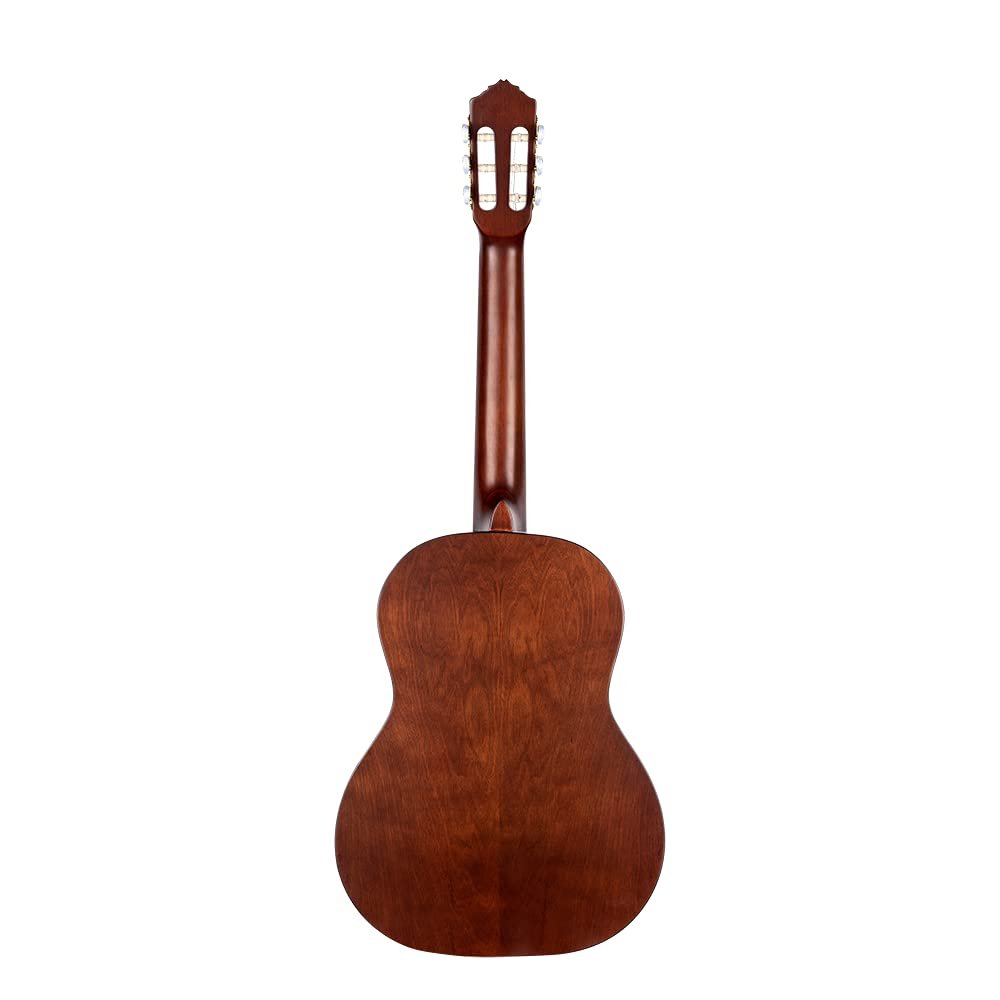 Ortega Guitars 6 String Student Series Pro w/Arm Rest Solid Top Nylon Classical Guitar, Right (R55DLX)