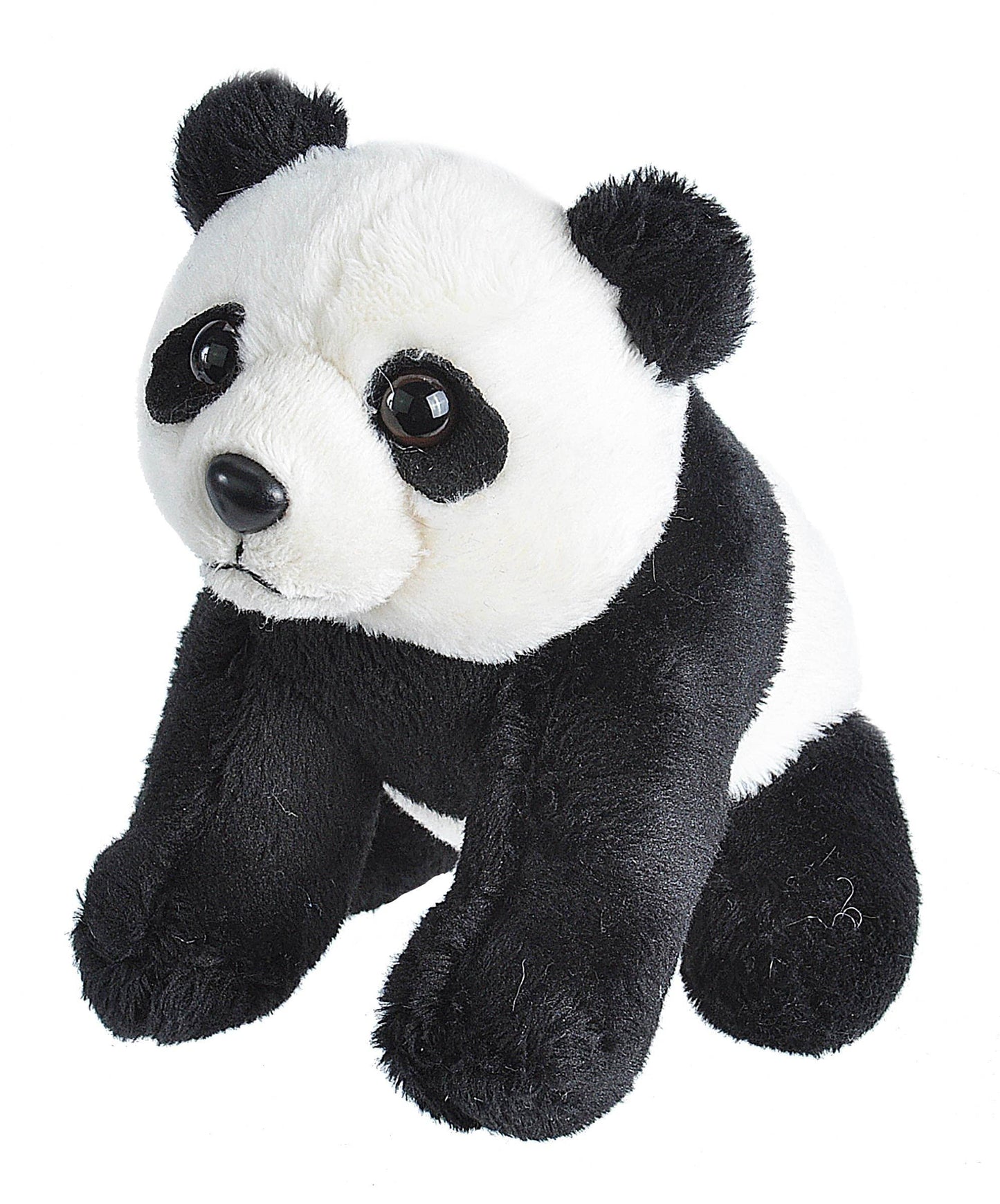 Wild Republic Pocketkins Panda, Stuffed Animal, 5 Inches, Plush Toy, Made from Recycled Materials