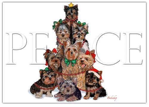 Pipsqueak Yorkshire Terrier Christmas Cards Peace : 10 Holiday Cards with Envelopes - ADORABLE!