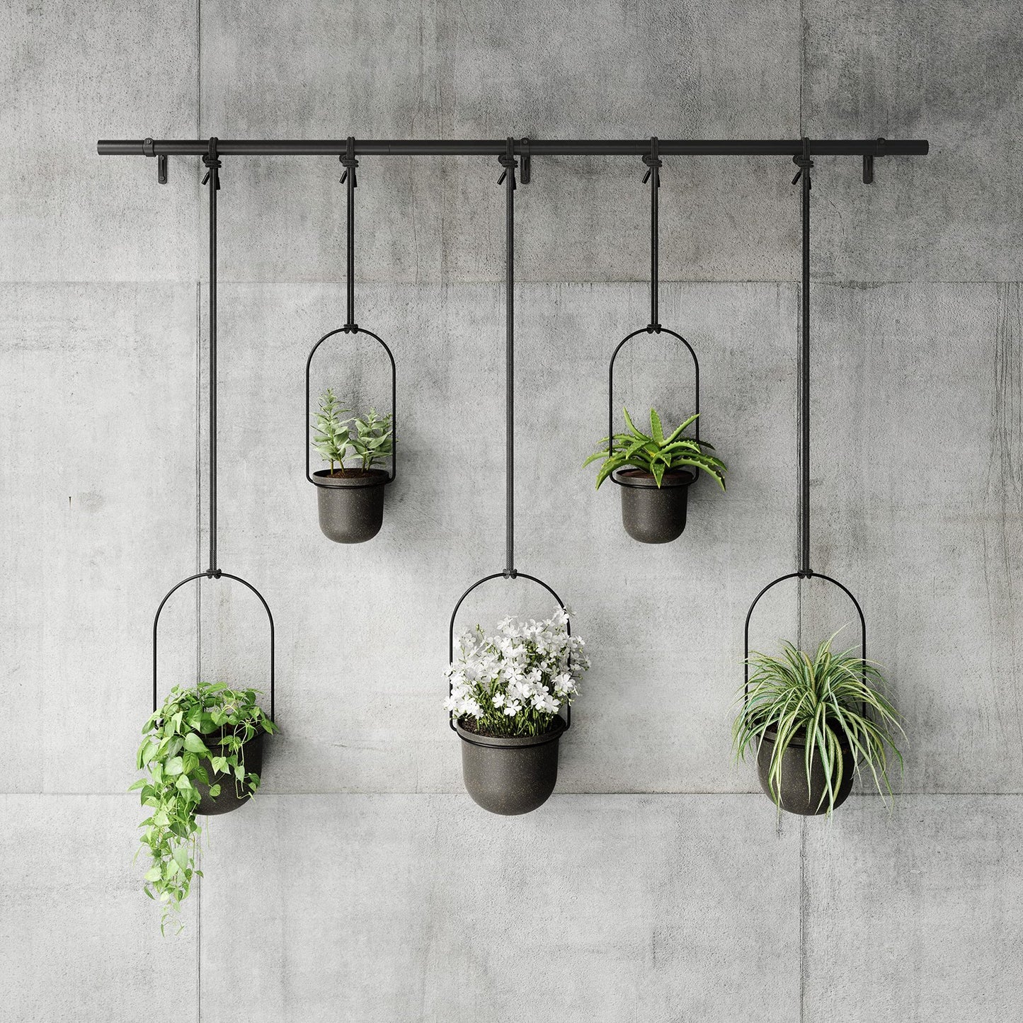 Umbra Triflora Hanging Planter for Window