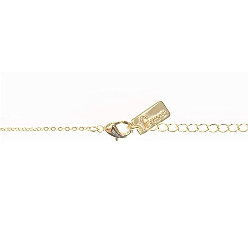 Roman Double Holy Scapular Gold Zinc Necklace 18 Inches Ling