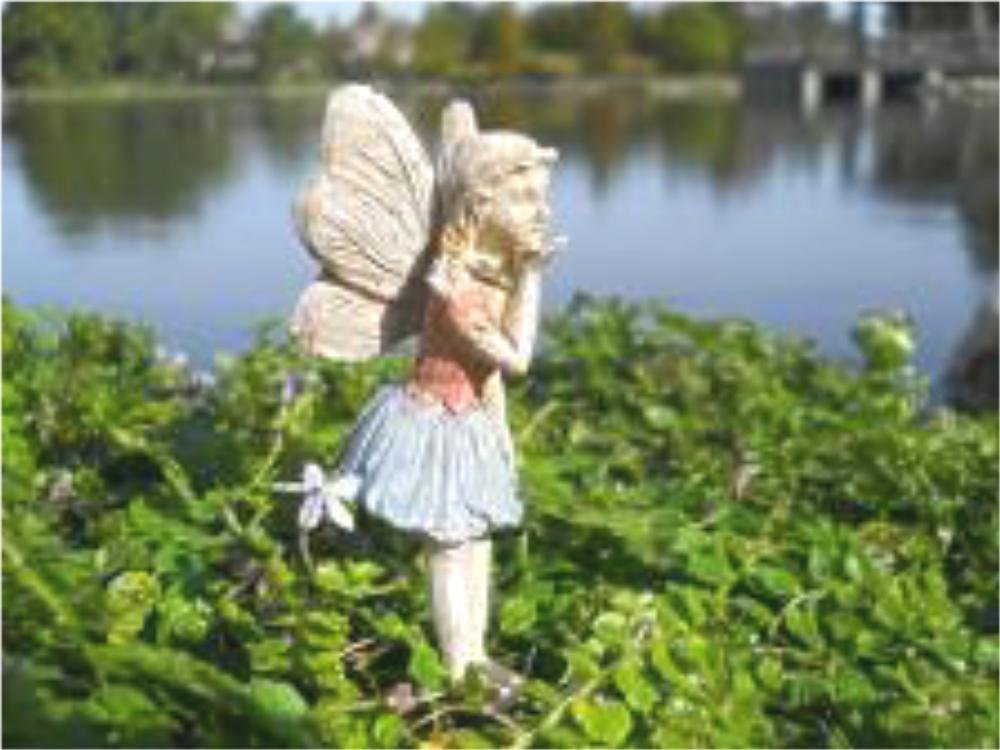 Fairy Nancy Jean