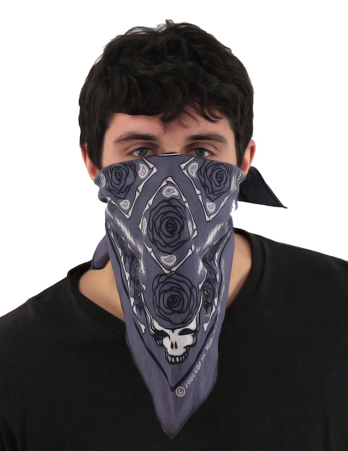 Sunshine Joy Grateful Dead Skull & Roses Bandana Grey
